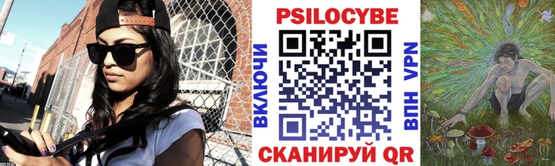 блэк спрут ONION  где найти наркотики  Дно  Псилоцибиновые грибы Psilocybe 